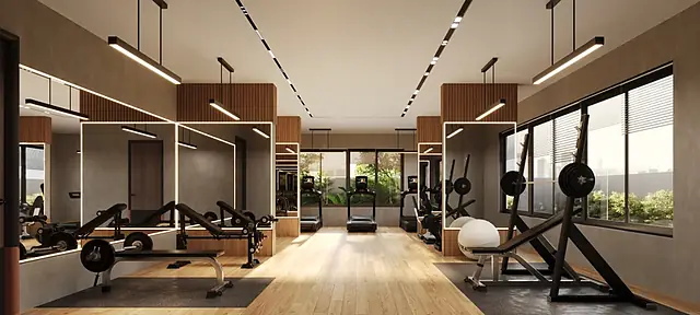 Gymnasium